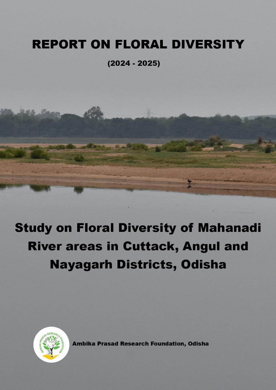 WhatsApp Image 2025-10-30 at 11.11.26_abca000a