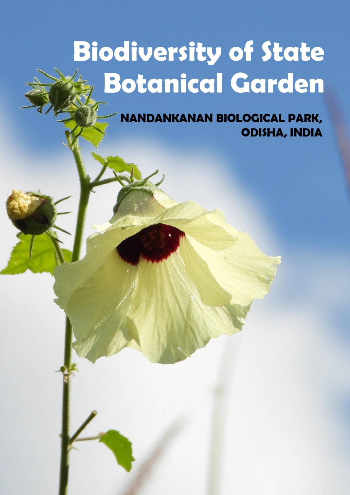 WhatsApp Image 2025-12-13 at 10.23.18 AM